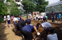 校内にある畑でサツマイモ栽培