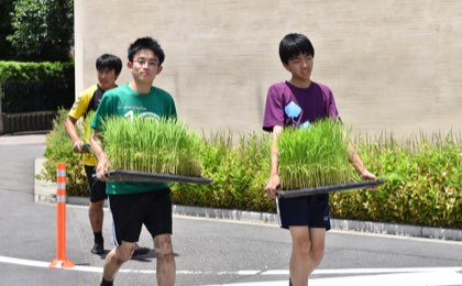 高校の総合的な学習の時間