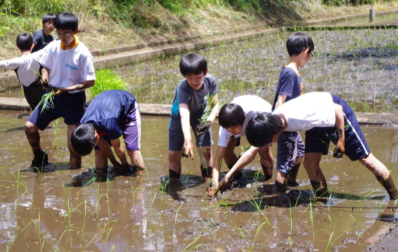 卒業生の方へ