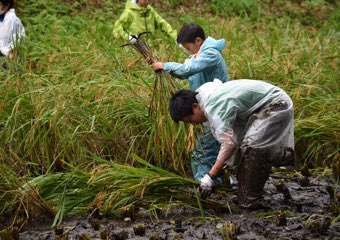 LL教室で聴解力を鍛える