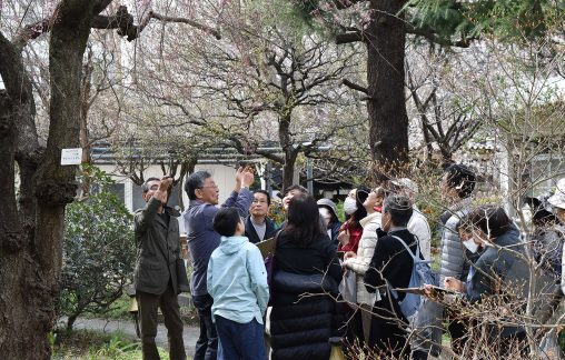つい人に教えたくなる樹木のはなし